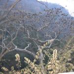 The scenery was nice.