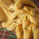 Raw golden silk in Vietnam, waiting to be spun.