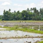 Backpacking across Mindanao