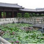 Lilypad Pond on the nunnery grounds