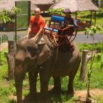 With my Mnong guide on board Elvis the Elephant, the kind of Yok Don National Park. 