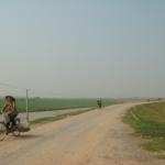 Countryside on the dike road from Hanoi to Dong Ho village.