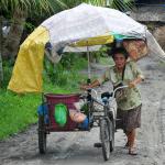 Creative Conveyance, vegetable vendor.