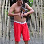 Sabong, “The Sport of Kings”