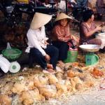 Cholon, Vietnam - chicken alley.