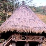 AILEU, EAST TIMOR A traditional house near Aileu: fine craftsmanship is still alive and well.