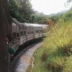 The East Coast Mail train heading through the rainforest jungles at the heart of Peninsular Malaysia.