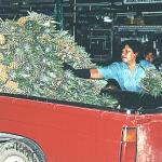 Vehicle after vehicle rolls in with goods before the market can properly open in the late hours of the night. Thousands of pineapples are unloaded and carried to the stalls.