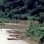 Long tail river boats on the Mekong