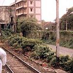 Just Hanging Out. Bombay, India.
