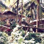 Abandoned House on Pulau Bidong