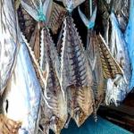 Hanging fish, Bang Bao village, Koh Chang, Thailand.