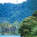 Dugout canoes gliding across Lake Ranau.