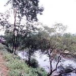 River view from the train