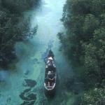 Approaching the watchtower, Tra Su Forest Reserve