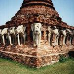 Elephants have long been revered in the Thai Kingdom. Besides being used as a major form of transportation in the past, the elephant is also considered the "royal" animal. The intricately carved elephant heads among the ruins is an indication of the animal's importance even during the Ayutthaya days.
