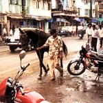 Bombay, India. Among the baffling number of modes of transportation in Bombay are horses like this one, usually as ostentatiously decorated as the carts they draw.