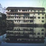 This building and its reflection looked to me like a birthday cake made by the enthusiastic but not terribly skilled bake shop employees.