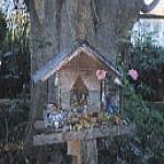 The making of spirit houses -- these vestiges of Thai animism -- has been industrialized like everything else: commonly one sees scores of nearly identical houses being sold in shops. The one shown here is refreshingly jerrybuilt, and stands under a Bo tree, holy to Buddhists as it is the tree under which the Buddha became enlightened.