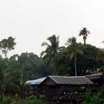 During our trip to Sukau, we stayed at chalets like this. Although basic, the chalets are equipped with en-suite bathrooms and have solar-heated hot water.