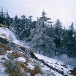 Emeishan, Sichuan province, China