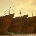 Rusting hulks on the Saigon River.