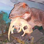 Dinner at Beijing's Natural History Museum. Beijing, China.