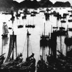 Cat Ba, a big island off Haiphong, has long been an important fishing area. This photo, circa 1950, shows boats of fishing cooperatives in Cat Ba preparing for the high sea.
