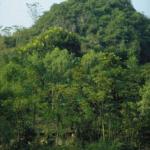 Above Quan So Lake, near My Duc, Ha Tay Province.
