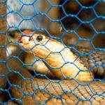 For something different and a little exotic, head to the Mekong Delta