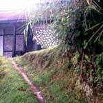 Tudor houses up in Fraser's Hills are still a common sight.