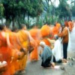 Early morning risers in Luang Prabang will witness a sea of orange walking down the streets.