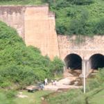 Looking out the window