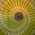 Beautiful lacquered paper umbrellas called kasa are a present-day reminder of the grace and elegance of Japan's bygone courtly era, known as ukiyo-e, the floating world.