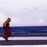 Hua Hin is home to many national parks. Kaeng Krachan National Park extends along the Burmese border from Petchburi Province north of Hua Hin. To the south, Thailand's first Marine National Park, Khao Sam Roi Yot, is only about 35 km away. A bit further away, in Kanchanaburi Province, there are five more national parks, Erawan, Sai Yoke, Sri Nakarin, Khao Laem, and Chalerm Rattanakosin.