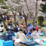 The party is in full swing.