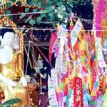 Bodhi Tree and Dtoong at Wat Phratat Doi Suthep, Chiang Mai, Thailand.